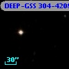 DEEP-GSS 304-4208