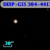 DEEP-GSS 304-4417