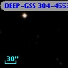 DEEP-GSS 304-4553