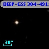 DEEP-GSS 304-4911