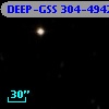 DEEP-GSS 304-4942