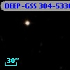 DEEP-GSS 304-5336