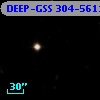 DEEP-GSS 304-5611