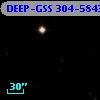 DEEP-GSS 304-5843