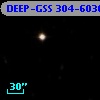 DEEP-GSS 304-6030