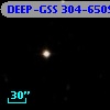 DEEP-GSS 304-6509