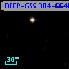 DEEP-GSS 304-6646