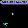 DEEP-GSS 304-7009