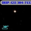 DEEP-GSS 304-7132