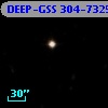 DEEP-GSS 304-7325