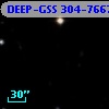 DEEP-GSS 304-7667