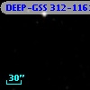 DEEP-GSS 312-1161