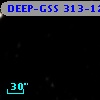 DEEP-GSS 313-1250