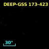 DEEP-GSS 173-423