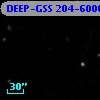 DEEP-GSS 204-6006