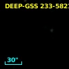 DEEP-GSS 233-5921