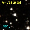 V* V1819 Ori