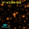 V* V1289 Sco