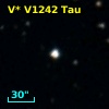 V* V1242 Tau