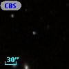 CBS 261