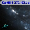 CasHII Z 272-021 q