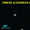 2MASS J13240616+6057024