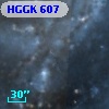 HGGK  607