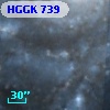 HGGK  739