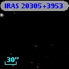IRAS 20305+3953