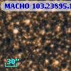 MACHO 103.23895.1338