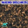 MACHO 103.24029.294