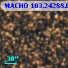 MACHO 103.24288.644