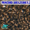 MACHO 103.25067.369