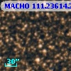 MACHO 111.23614.298