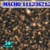 MACHO 111.23621.2161
