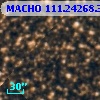 MACHO 111.24268.3173