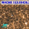 MACHO 113.18420.1850