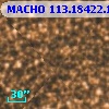 MACHO 113.18422.1111
