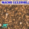 MACHO 113.18805.715