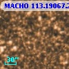 MACHO 113.19067.2099
