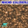 MACHO 114.19978.788