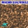 MACHO 114.20361.998