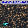 MACHO 117.24905.5049