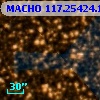 MACHO 117.25424.1372