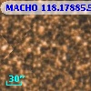 MACHO 118.17885.549