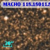 MACHO 118.18011.881