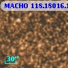 MACHO 118.18016.1101