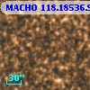 MACHO 118.18536.904