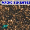 MACHO 119.19699.513