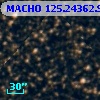 MACHO 125.24362.96